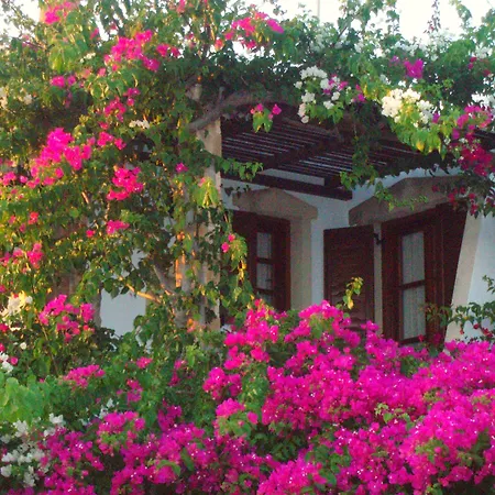 Dimitra 3* Kastrákion