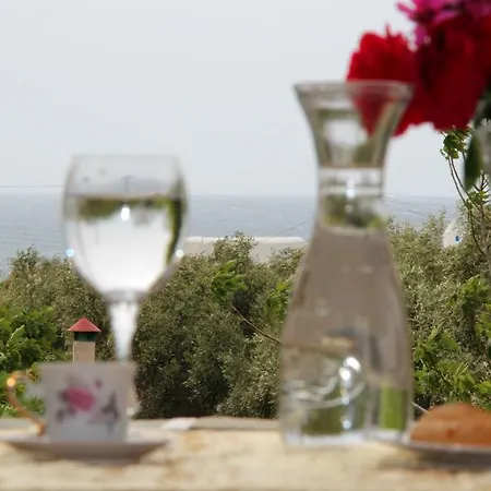 Aparthotel Dimitra 3*