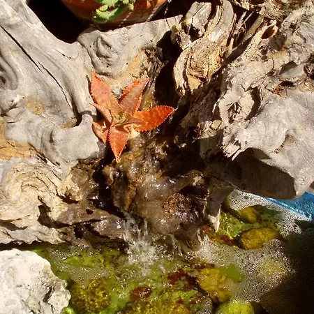 מלון דירות Dimitra