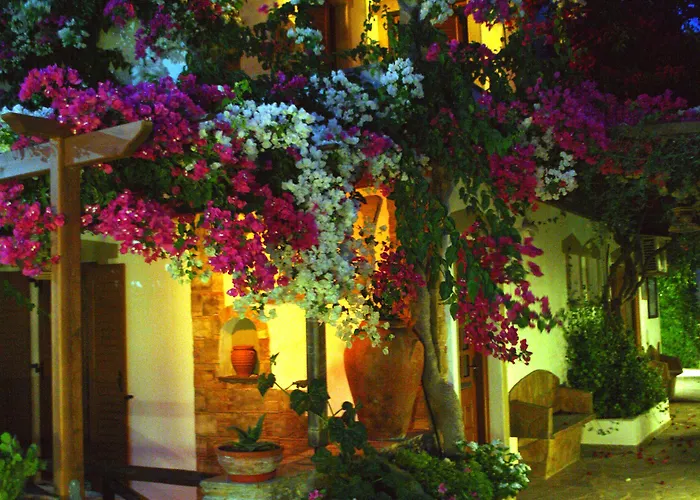 Dimitra מלון דירות