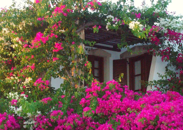 Dimitra 3* Kastrákion